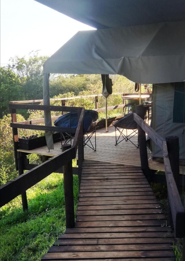 Chosen Glamping Tents Graskop Exteriér fotografie