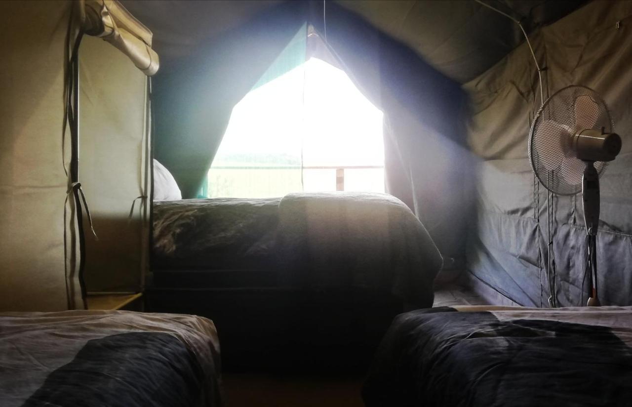 Chosen Glamping Tents Graskop Exteriér fotografie