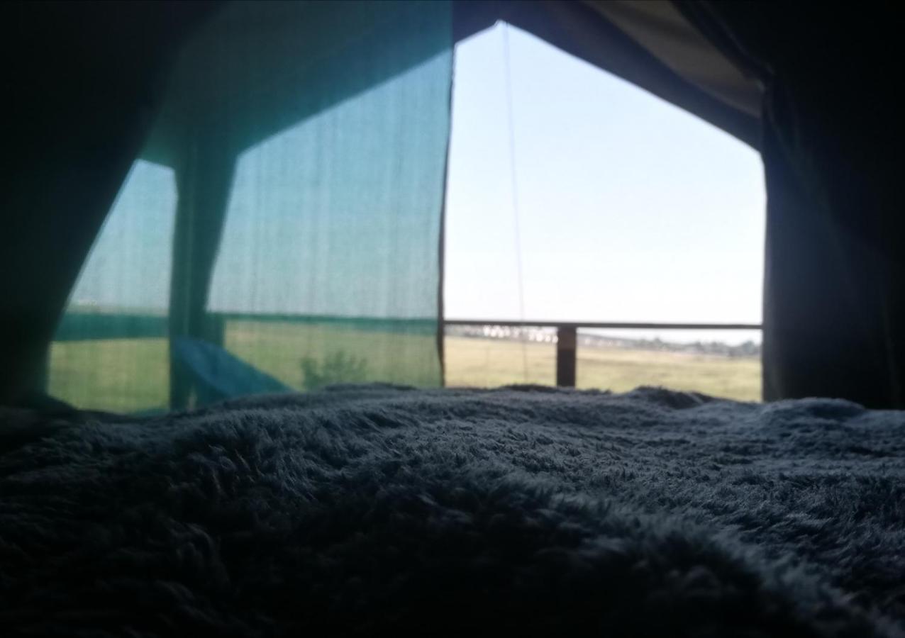 Chosen Glamping Tents Graskop Exteriér fotografie