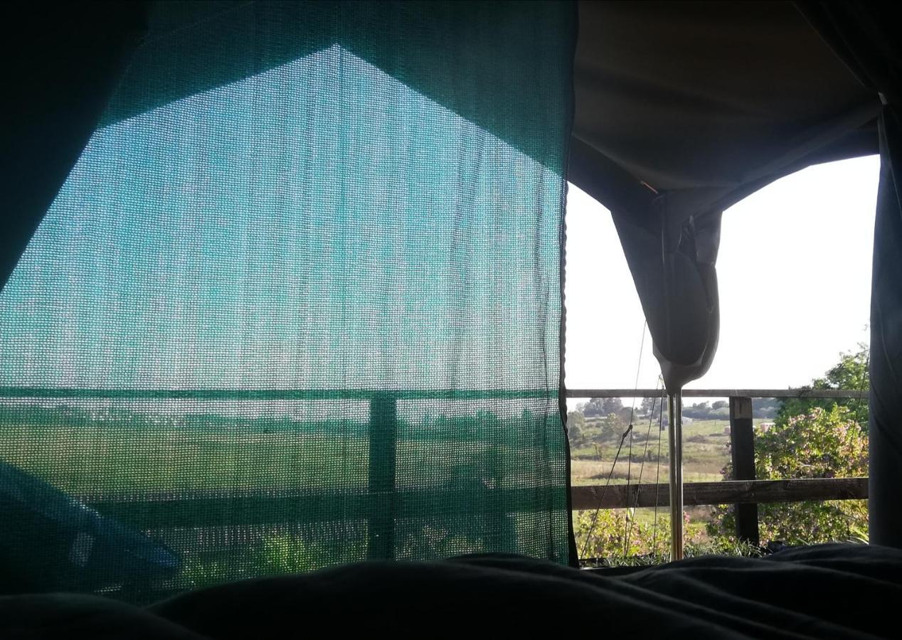Chosen Glamping Tents Graskop Exteriér fotografie