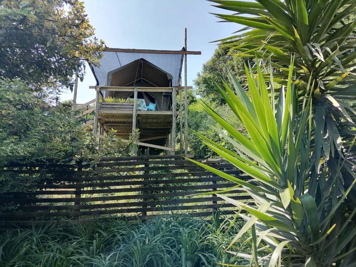 Chosen Glamping Tents Graskop Exteriér fotografie